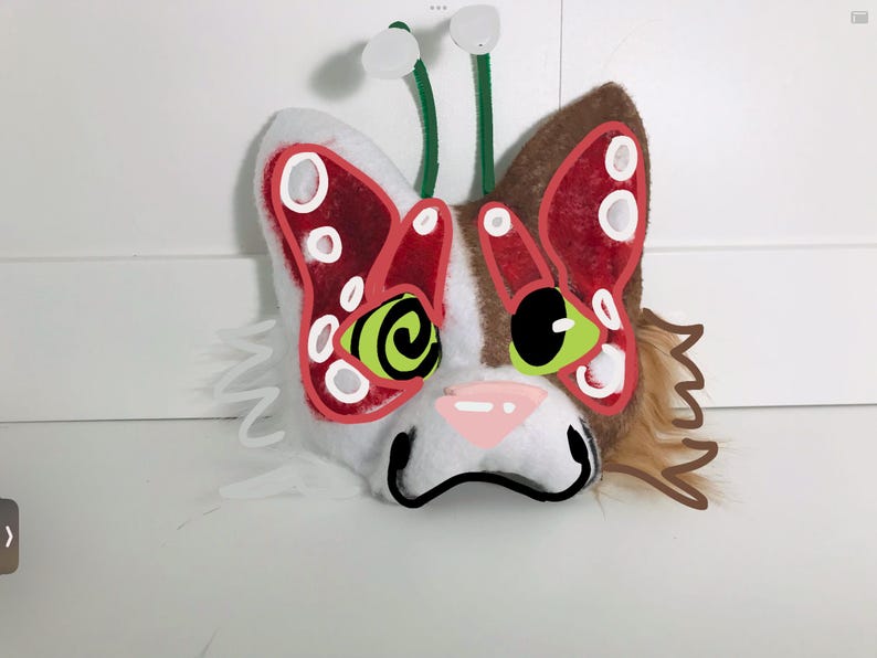 Mushroom Cat mask