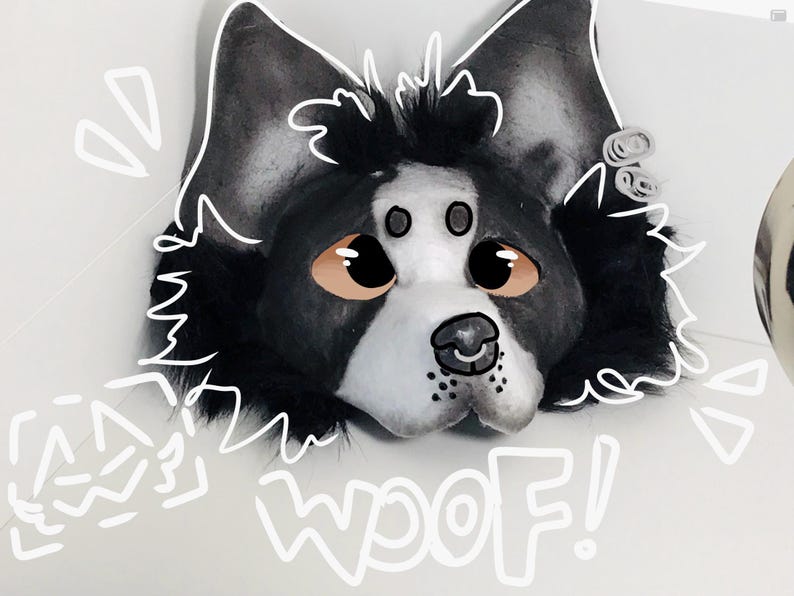 Border Collie mask