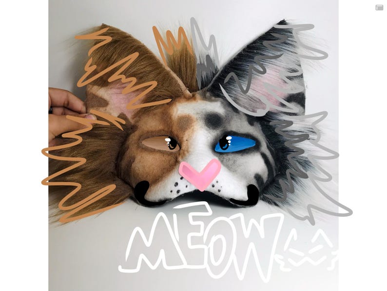 Half Orange Half Gray Tabby mask